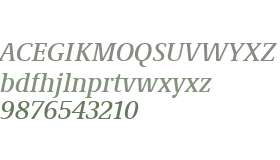 Demos Next W04 Medium Italic