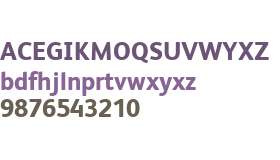 FS Albert Arabic Web ExtraBold