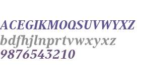 Generis Serif W04 Heavy Italic