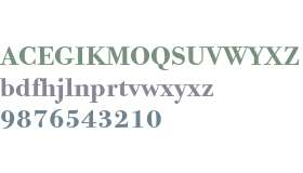 Bodoni Twelve ITC Std Bold