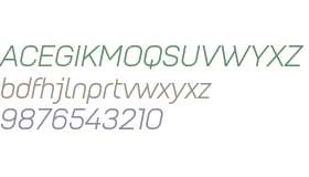 Petrov Sans Book Italic