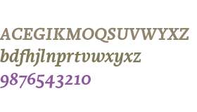 Brioni Text LCG Medium Italic