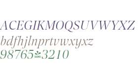 FSP DEMO - Contane Light Italic