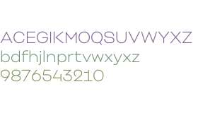 TRY Yocco Thin Bright