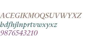 Flecha Test S Medium