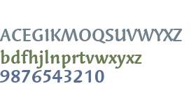 Linotype Syntax Letter W01 Bold
