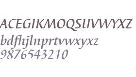 Barbedor W01 Medium Italic V2