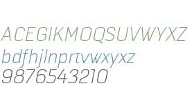 SelektorLightItalic