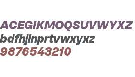 SFT Schrifted Sans TRIAL ExBd Compact