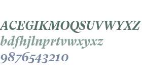 GT Super Text Bold Italic