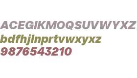 SFT Ritam Sans TRIAL Black Oblique