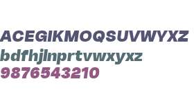 TurkeltonTwo Ultra Black Italic