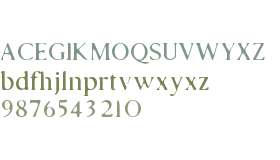 Established Typewriter