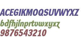 Dynamo Italic B M