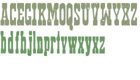 zai Western Kurjer Zamojski