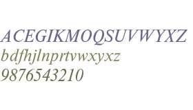 Times New Roman* MONOTYPE Medium Italic