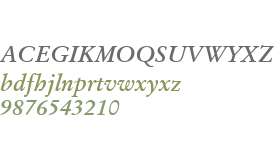 Stempel Garamond W04 Bd Italic