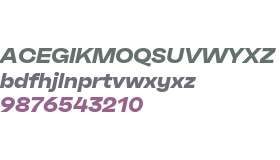 RB Faktum Neue Extended Test ExBold