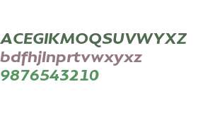 Compasso Extended Test ExBd It Extd