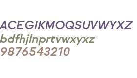 Sul Sans Test Medium