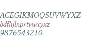 Benicia W01 Medium Italic