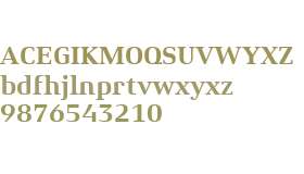 Xenois Serif W04 Bold