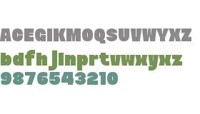 CC Beink