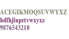 Xerox Serif Narrow Bold
