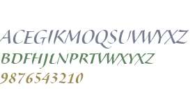 Veljovic Script W01SC Medium