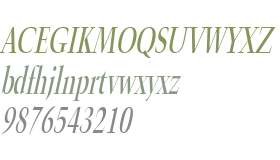 Horn Thin Italic