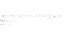 Manhattan Calligraphy