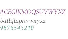 Combi Serif W01 Light Oblique