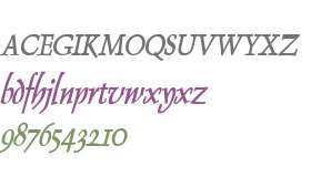 Dolphin Condensed Bold Italic