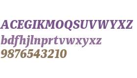 Mediator Serif Narrow Web ExtBd Italic