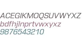 DDT Book Italic