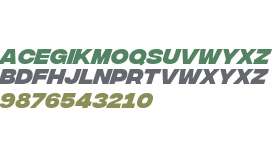 Integral CF Extra Bold Oblique