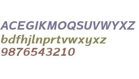 Magnum Sans W01 Bold Italic V1