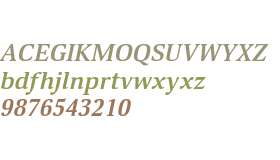 Deca Serif Bold Italic W08 Rg