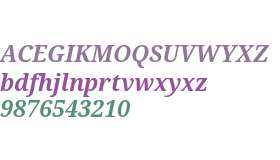 Droid Serif W07 Bold Italic