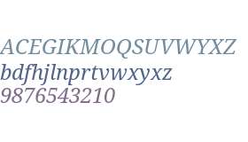 Droid Serif W01 Italic