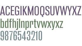 FUD Grotesk