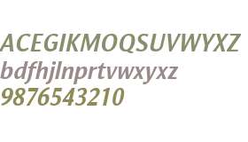 Orbi Sans Bold Italic W08 Rg