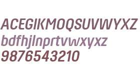 Hansom FY W01 Bold Italic