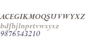 Compleat SSi Bold Italic