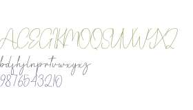 Angelica Signature