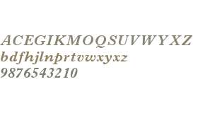 Imprint MT W04 Bold Italic