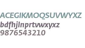 1301c2bffebc900c - subset of Fedra Sans Screen Bold Italic