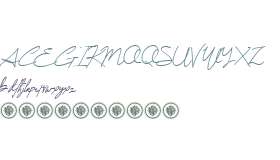 Strokify Light  Demo