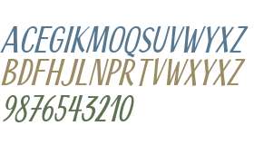 Scrapbooker Sans Italic W00 Rg