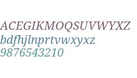 Droid Serif W07 Italic